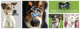 DOGTAP, YOUR NEW DIGITAL DOG ID TAG