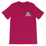 TWO DOG TOUGH™ "A.C.T. TRIANGLE" Kids TShirt